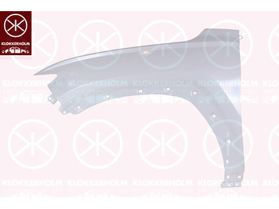 Wing, Steel, Left Front, without hole for direction indicator