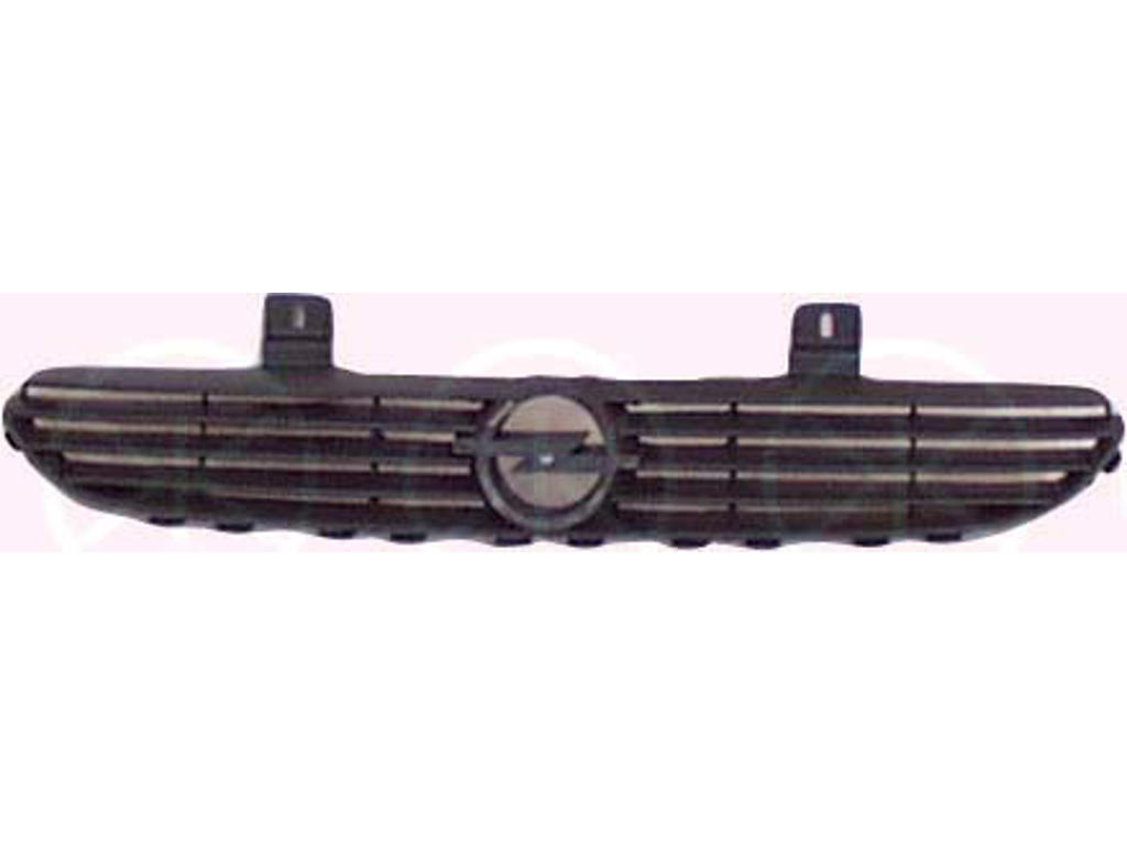 Radiator Grille