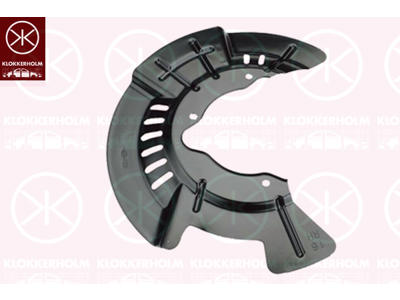 Splash Guard, brake disc, Front Axle Right, for brake disc diameter [mm]: 302