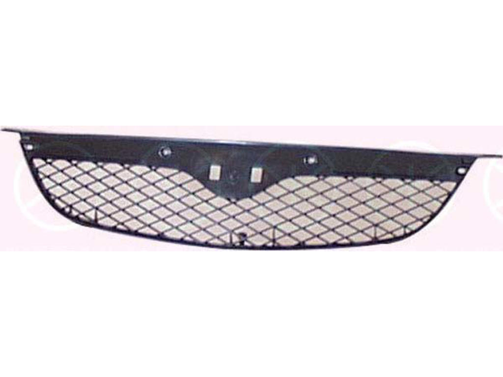 Radiator Grille, black