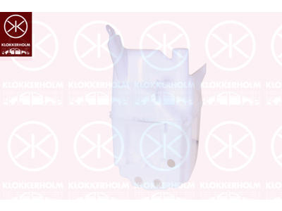 Washer Fluid Reservoir, window cleaning
