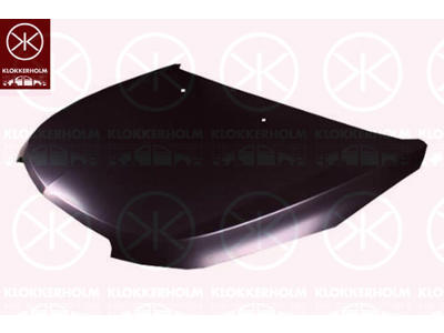 Bonnet