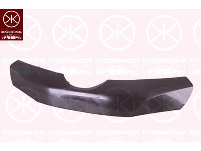 Ventilation Grille, bumper, Front
