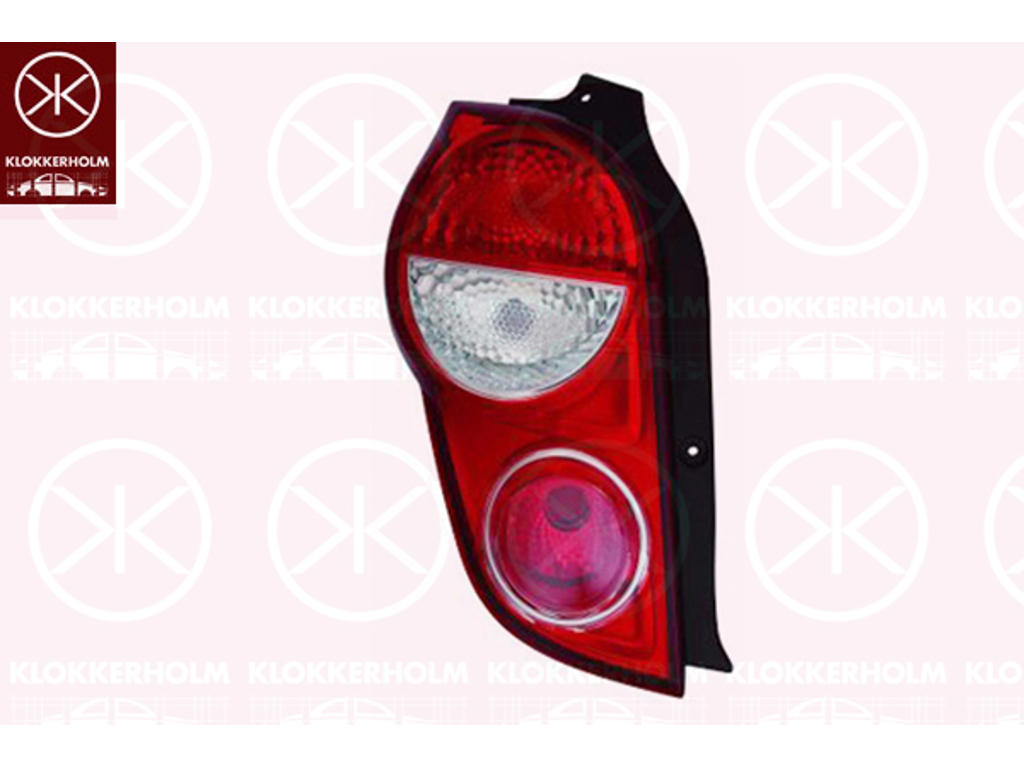 Tail Light Assembly, without bulb holder, Left
