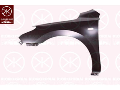 Wing, Right Front, with hole for direction indicator, Zinc-coated, Vehicle Production Country: Republic of Korea (South Korea)