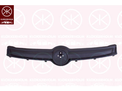 Radiator Grille, black