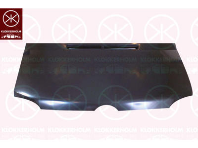 Bonnet, without holes for trim/protective strip, Zinc-coated