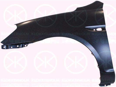Wing, Left Front