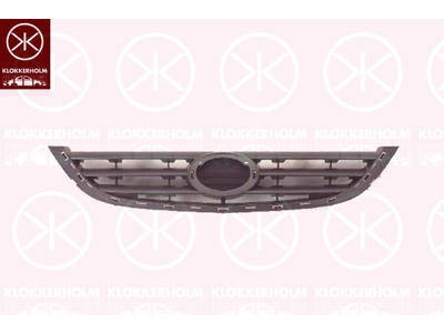 Radiator Grille, black