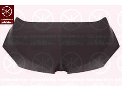 Bonnet, Zinc-coated, not for trim level: PRUPT