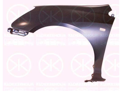 Wing, 3/5-drs, Left Front, with hole for direction indicator