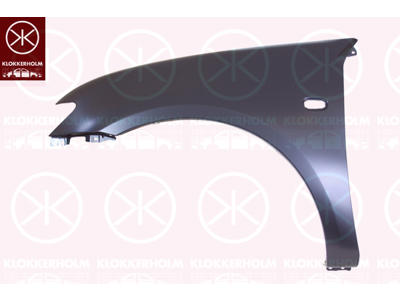 Wing, Right Front, without holes for extensions, with hole for direction indicator