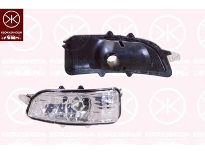 Blinker, Höger, Backspegel, vit, utan lamphållare