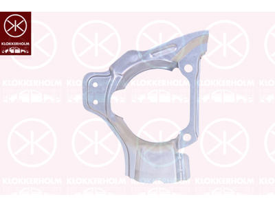 Splash Guard, brake disc, Front Axle Right, Diameter 1/Diameter 2 [mm]: 247/95, Zinc-coated
