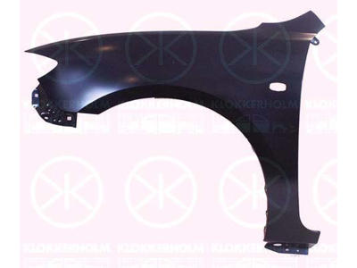 Wing, Right Front, with hole for direction indicator