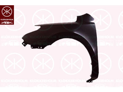 Wing, Right Front, without hole for direction indicator, Vehicle Production Country: Republic of Korea (South Korea)