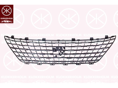 Radiateurgrille, Voor, chroom/zwart