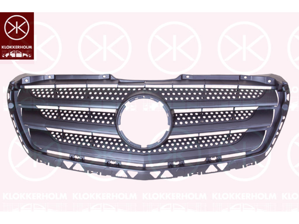 Radiator Grille, black