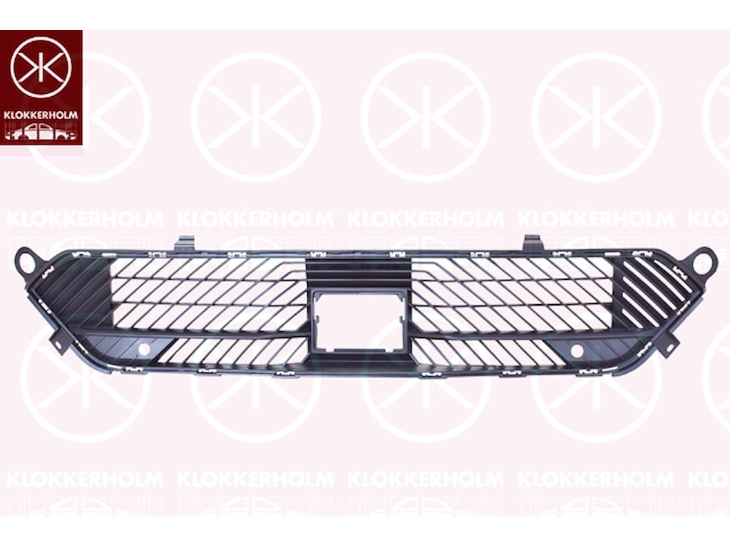 Radiator Grille, Front, with hole(s) for park distance control, Lower Section
