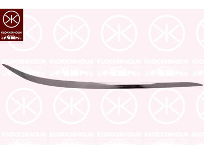 Ehis-/kaitseliist,Põrkeraud, Avantgarde, Elegance, kroom, ees paremal