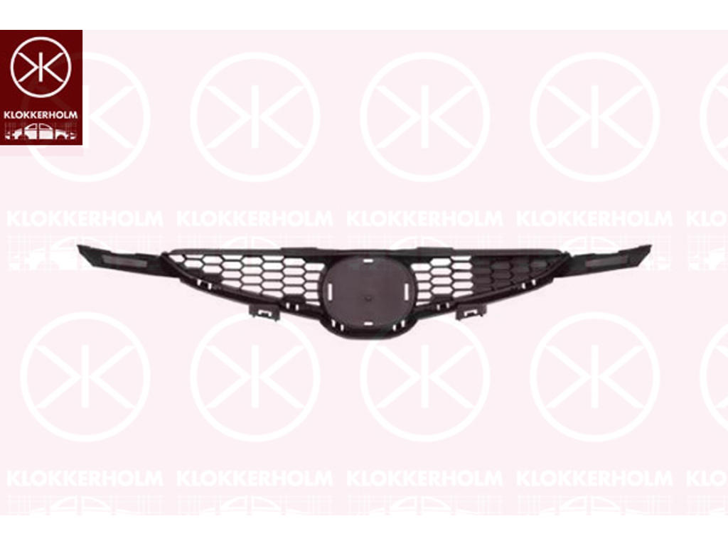 Radiator Grille, black
