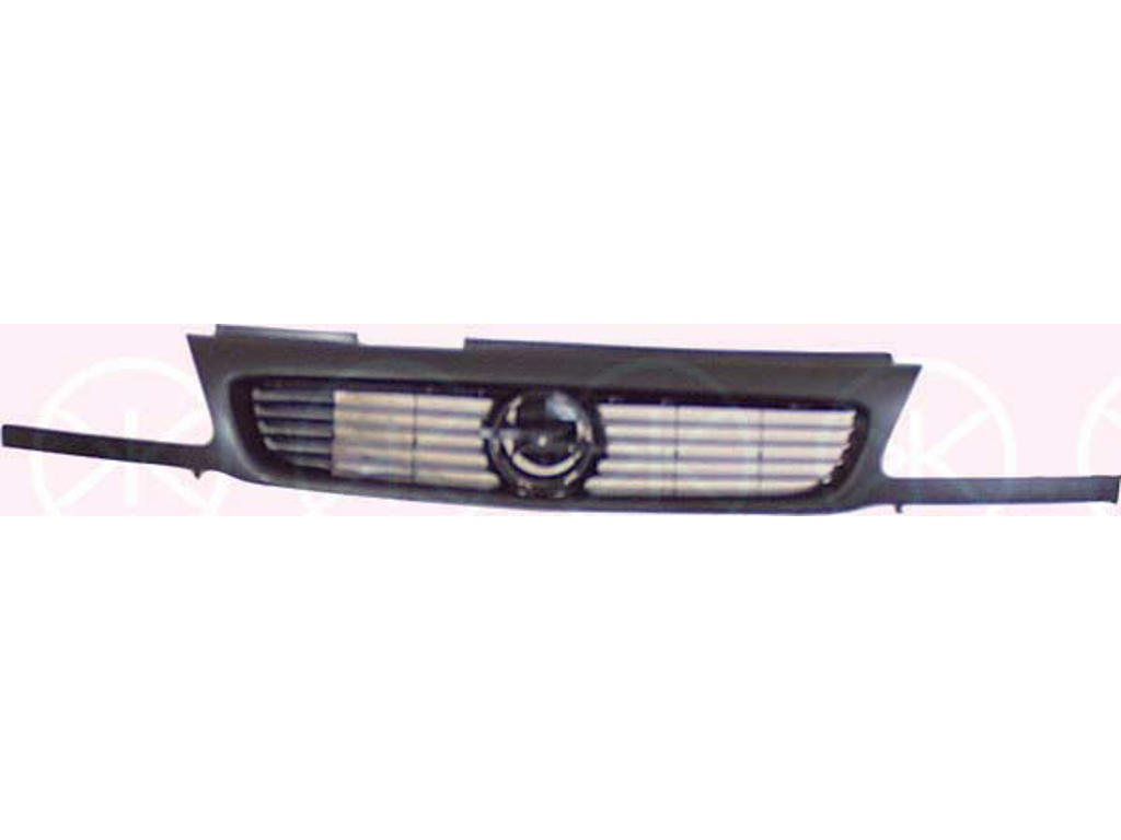 Radiator Grille