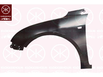 Wing, Right Front, with hole for direction indicator