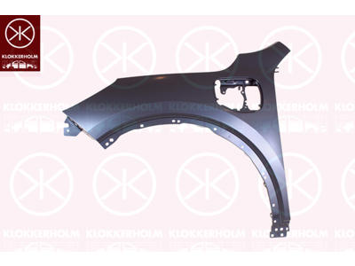 Wing, with hole for charging socket/plug, Left Front