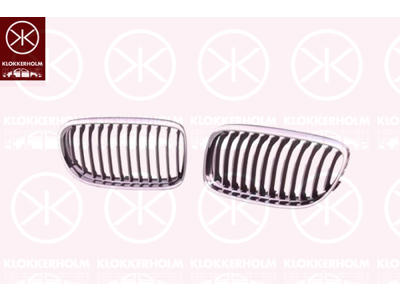 Radiator Grille, grey, chrome, Right Front