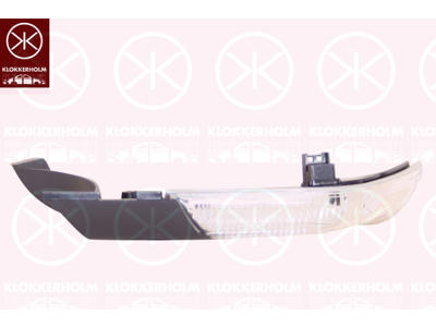 Direction Indicator, Left, Exterior Mirror, LED, Article number of recommended accessories: 1Z0949101CC