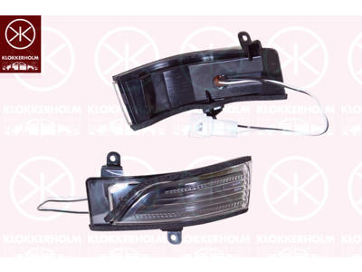 Direction Indicator, Exterior Mirror, Right, LED