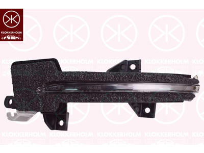 Direction Indicator, Exterior Mirror, Left, LED