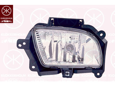 Front Fog Light, with bulb holder, Left Front