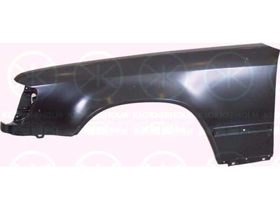 Wing, Right Front, with holes for trim/protective strip, without hole for direction indicator