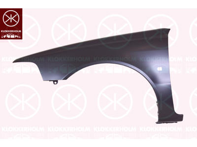 Wing, Left Front, with hole for direction indicator