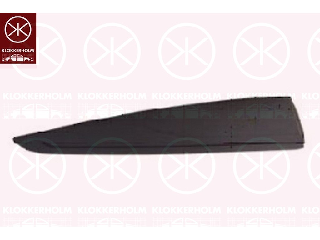 Trim/Protection Strip, door, black, Right Rear