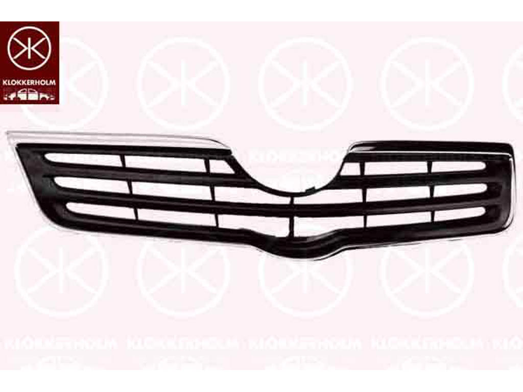 Radiator Grille, chrome/black
