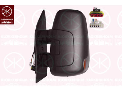 Exterior Mirror, Left, Short mirror arm, for electric mirror adjustment, Number of pins: 5, Number of pins: 4, with indicator, Indicator Colour: smoke grey, with thermo sensor, Heatable, Convex