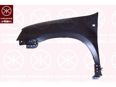 Wing, Left Front, with hole for direction indicator