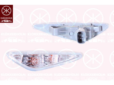 Direction Indicator, lateral installation, Left, with bulb holder