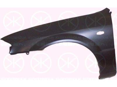 Wing, Right Front, with hole for direction indicator