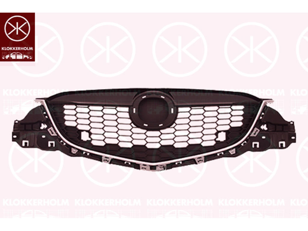 Radiator Grille, chrome/black