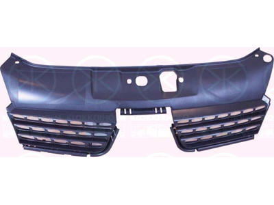 Radiator Grille