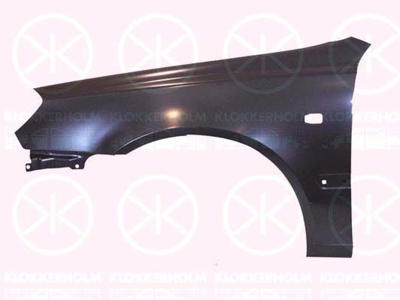 Wing, Right Front, with hole for direction indicator, Vehicle Production Country: Republic of Korea (South Korea)