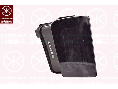 Lane Change Warning Light, LED, Fitting Position: Right Exterior Mirror