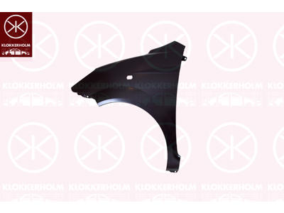 Wing, Right Front, with hole for direction indicator