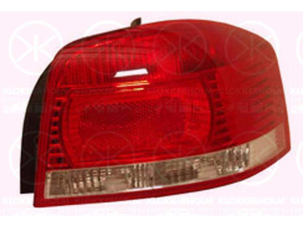 Tail Light Assembly, without bulb holder, Left