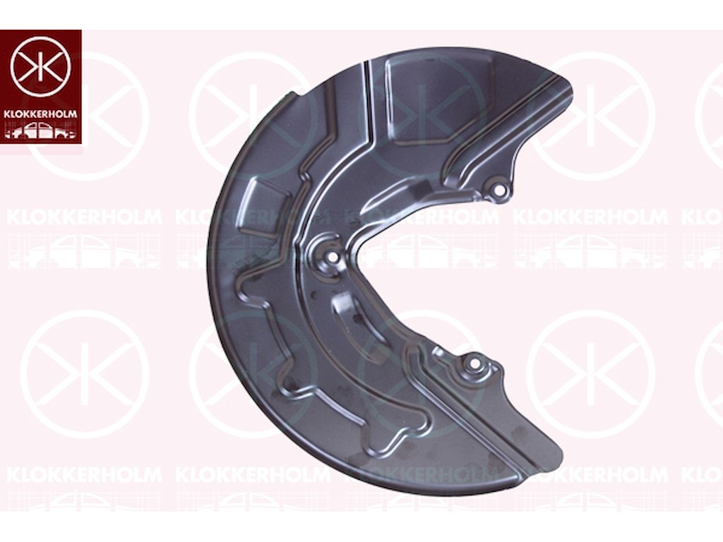 Splash Guard, brake disc, Front Axle Right, for brake disc diameter [mm]: 358, Zinc-coated