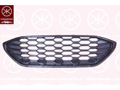 Radiator Grille, chrome/black