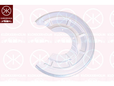 Bromssköld, Bakaxel höger, Diameter 1/diameter 2 [mm]: 295/100, förzinkad